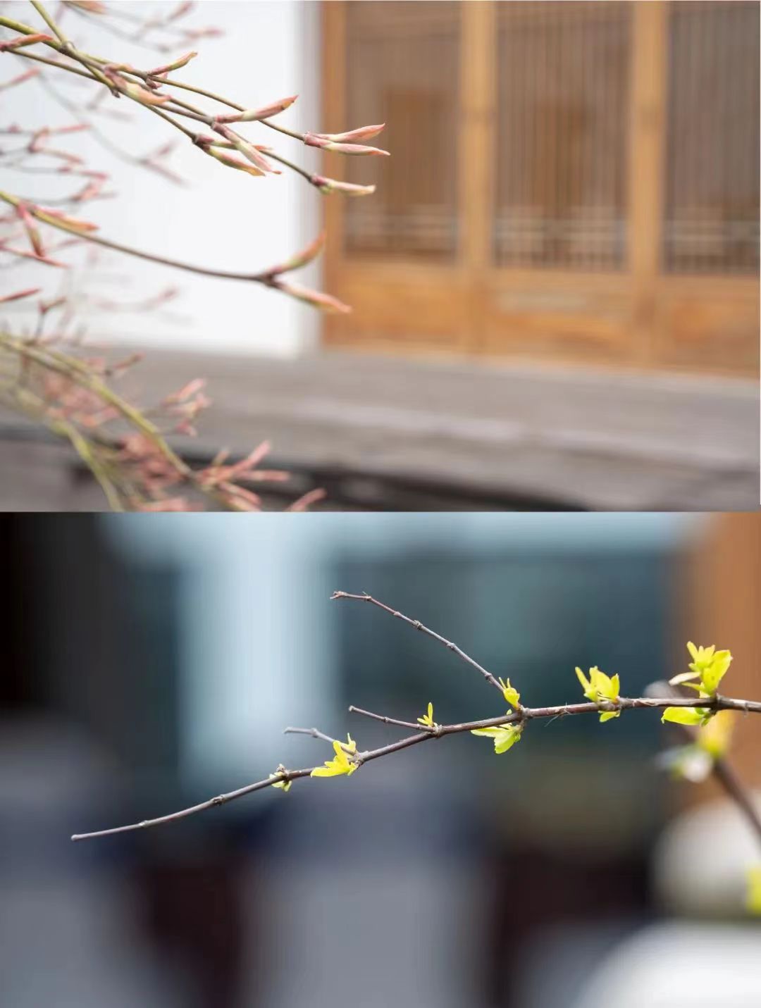 2025年精酿啤酒行业前景预测及投资分析_人保服务,人保护你周全