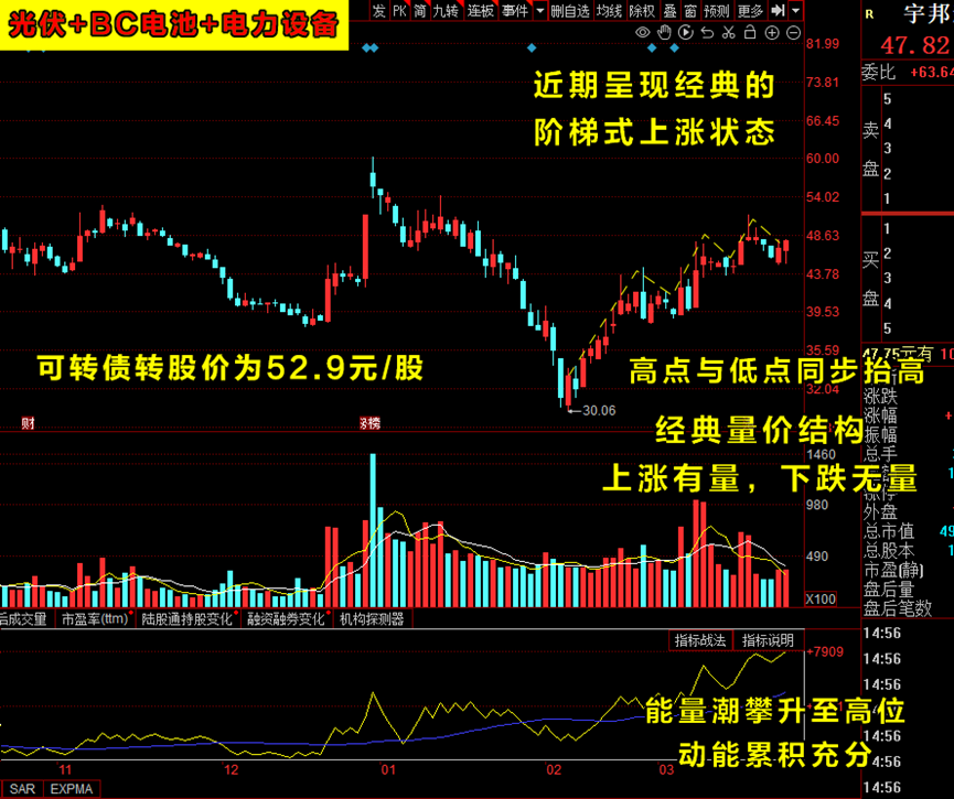 2024年猪肉市场行情分析 11月猪肉价格上涨13.7%_人保车险,人保护你周全