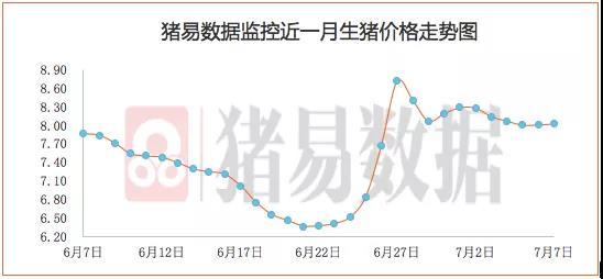 猪企销量“冲刺”：7成以上出栏目标完成进度超90% 12月或将继续放量