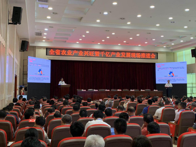 2025年防护鞋市场规模及发展趋势分析_保险有温度,人保财险 