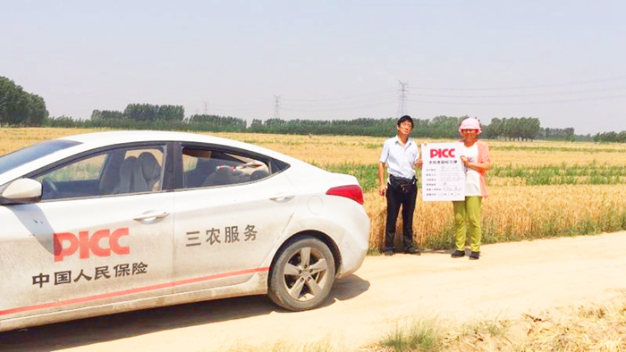 2025体育保险行业市场发展现状及竞争格局、供需格局分析_人保财险政银保 ,拥有“如意行”驾乘险，出行更顺畅！