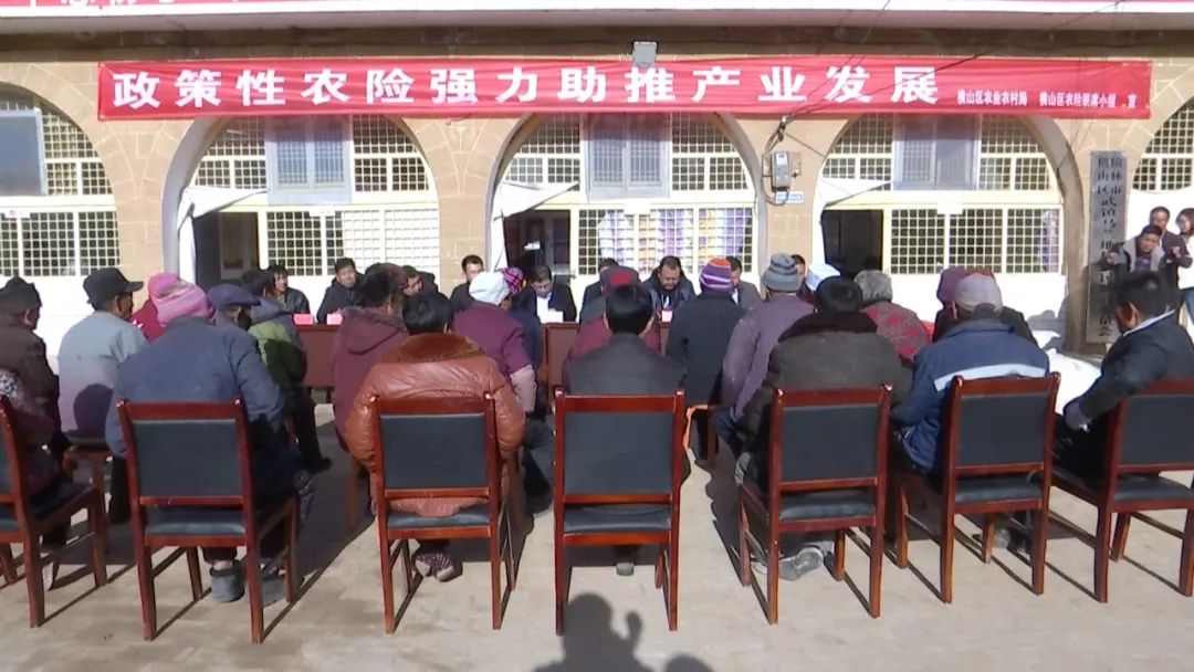 人保财险 ,人保有温度_潮州菜行业发展趋势及供需分析