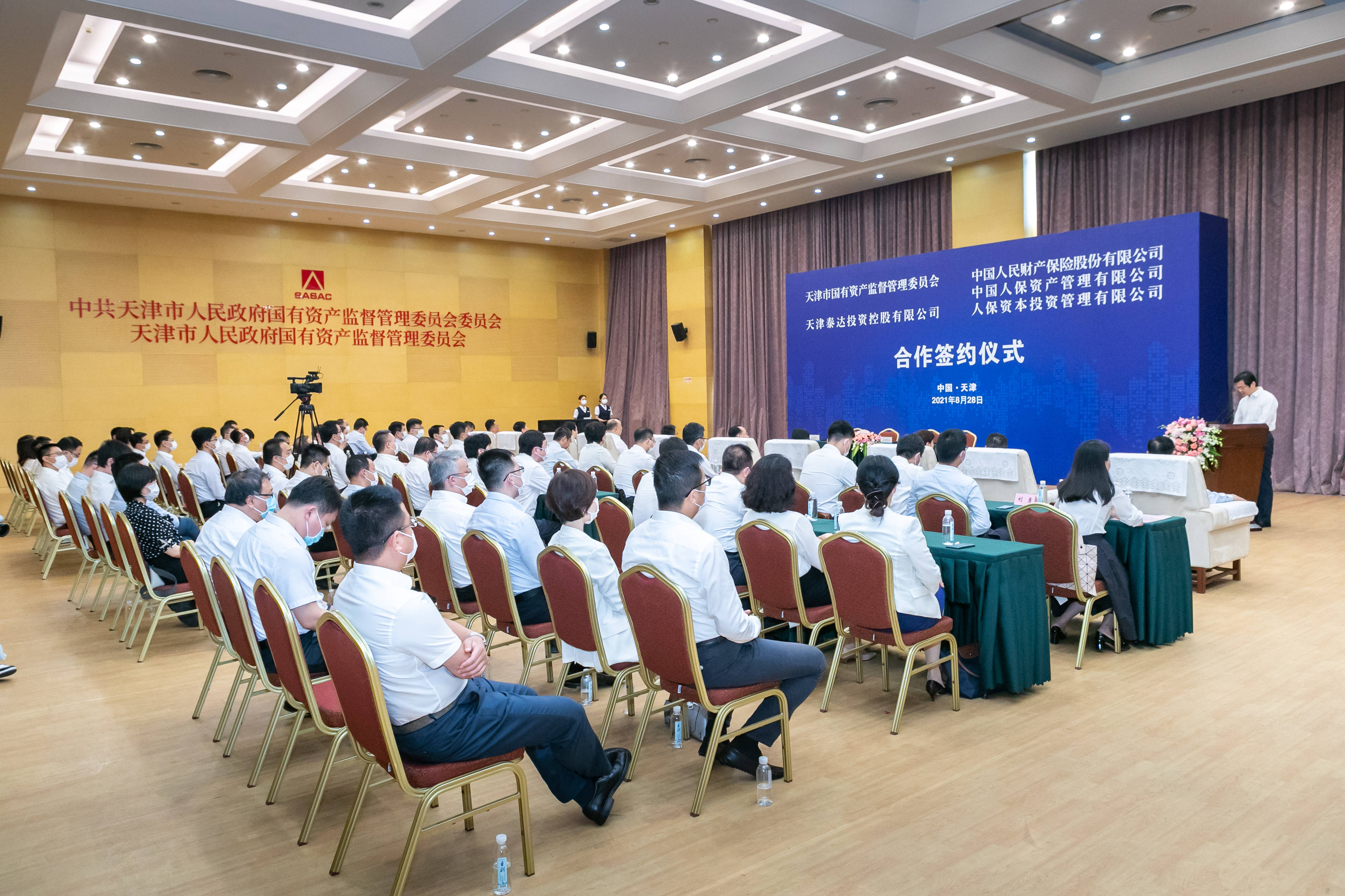 大蒜行业前景预测及投资分析_人保服务 ,人保财险政银保 