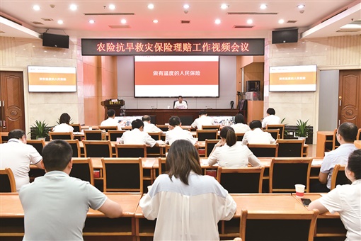 2025牦牛行业市场未来发展前景及机遇分析预测_人保有温度,人保护你周全