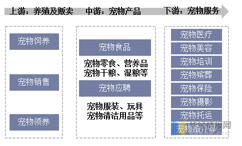 人保车险,人保护你周全_2025年美容院行业产业链结构及政策分析