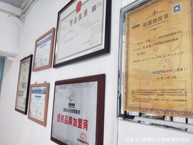 2025年宠物殡葬服务行业竞争格局与发展前景分析_人保车险   品牌优势——快速了解燃油汽车车险,人保伴您前行