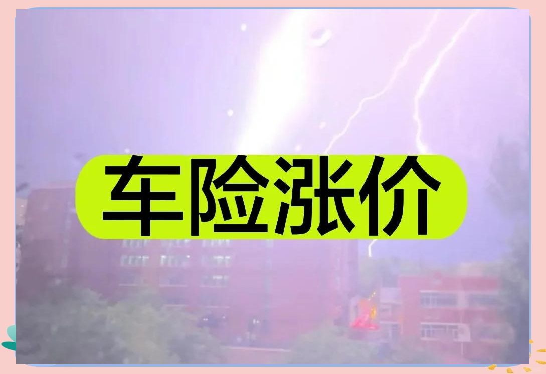 人保车险   品牌优势——快速了解燃油汽车车险,人保有温度_2024年吸油毡行业发展现状、竞争格局及未来发展趋势与前景分析