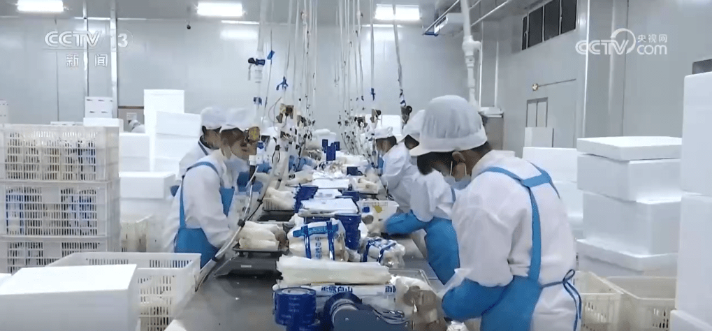 人保伴您前行,人保财险 _中国出口规模首次突破25万亿 2025年外贸市场挑战及机遇分析