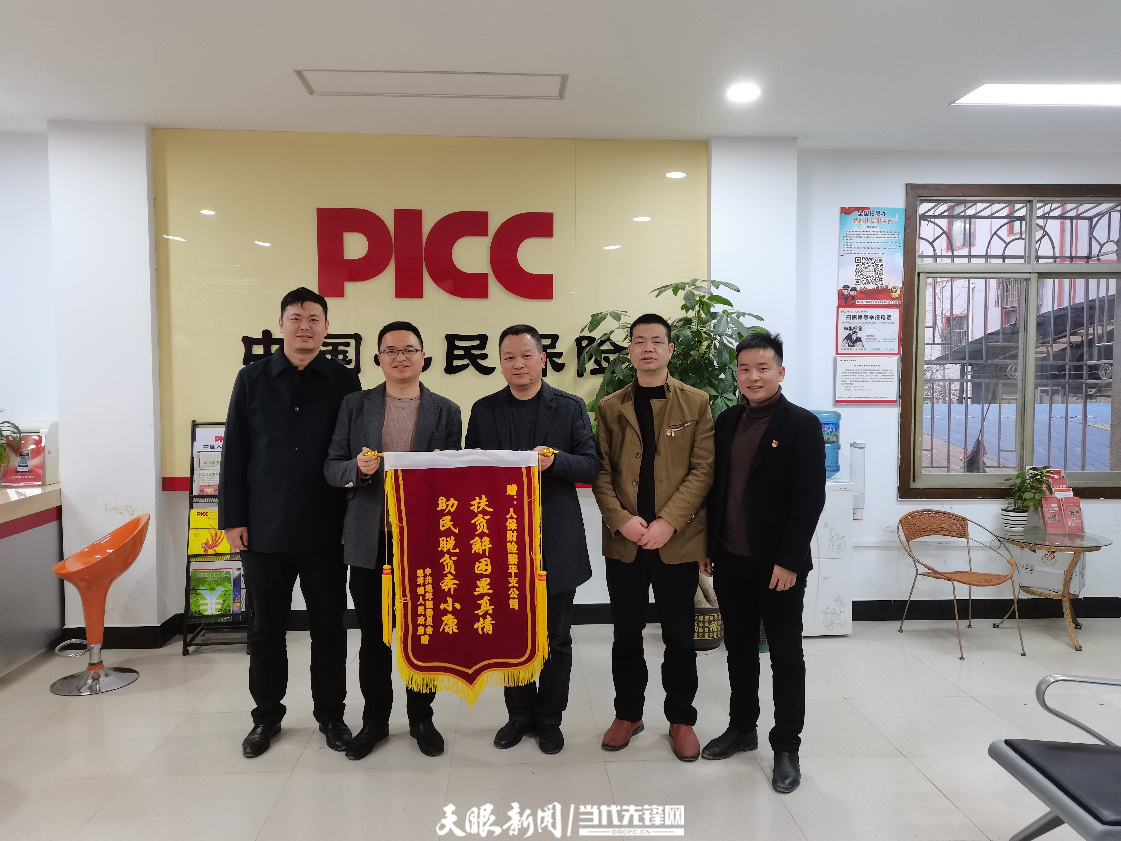 2025家电零售行业市场发展现状及竞争格局、未来趋势分析_人保财险政银保 ,人保财险 