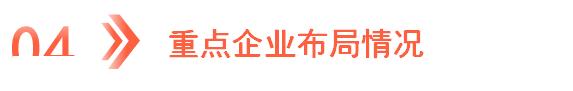 2025年眼镜行业现状与发展趋势分析_人保服务,人保护你周全