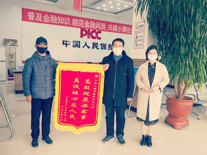 2025假发产品行业市场发展现状及销售模式分析_人保服务 ,人保护你周全