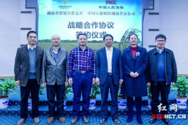 人保伴您前行,人保财险政银保 _2025年谷物行业现状与发展趋势分析