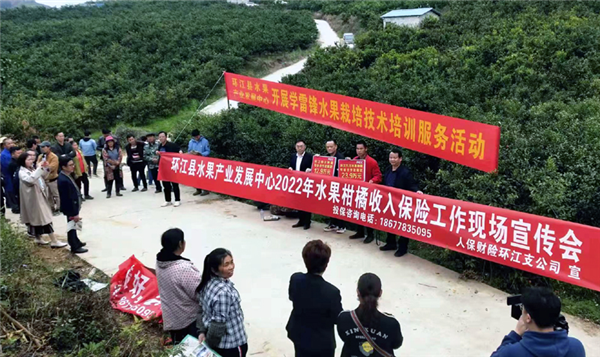 2025保险信息化行业发展现状及市场份额分析_人保车险,人保财险政银保 