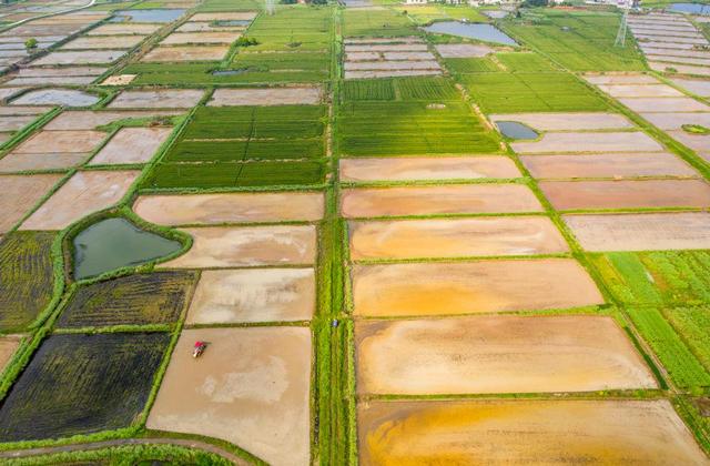 2025年高标准农田行业现状与发展趋势分析_保险有温度,人保伴您前行