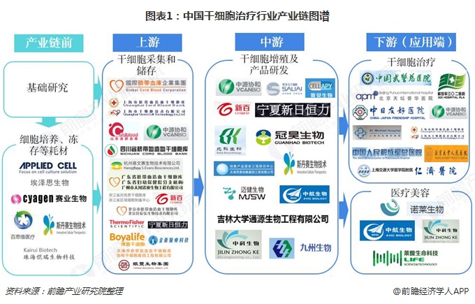 2025干细胞美容行业市场现状及供需格局、竞争格局分析_人保财险政银保 ,拥有“如意行”驾乘险,出行更顺畅!