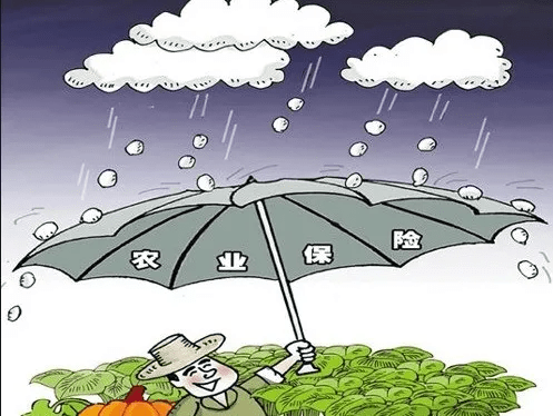 2025年纸箱行业产业链结构及投资分析_保险有温度,人保服务