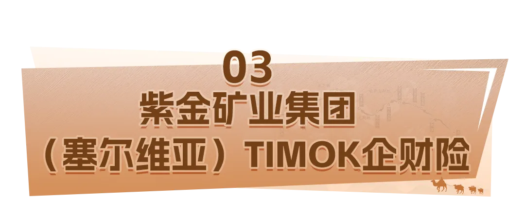 咖啡壶行业市场发展现状及竞争格局、趋势分析2025_人保伴您前行,人保有温度