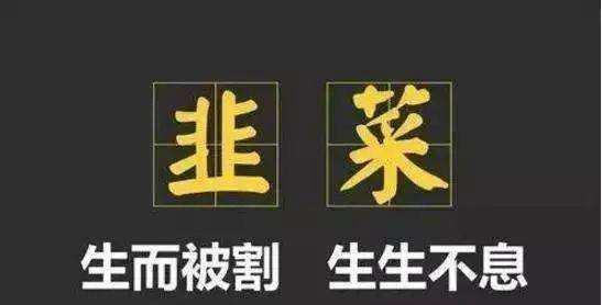 拥有“如意行”驾乘险,出行更顺畅!,人保财险 _2025年黑莓行业深度破局:从“浆果贵族”到千亿健康赛道的产业跃迁
