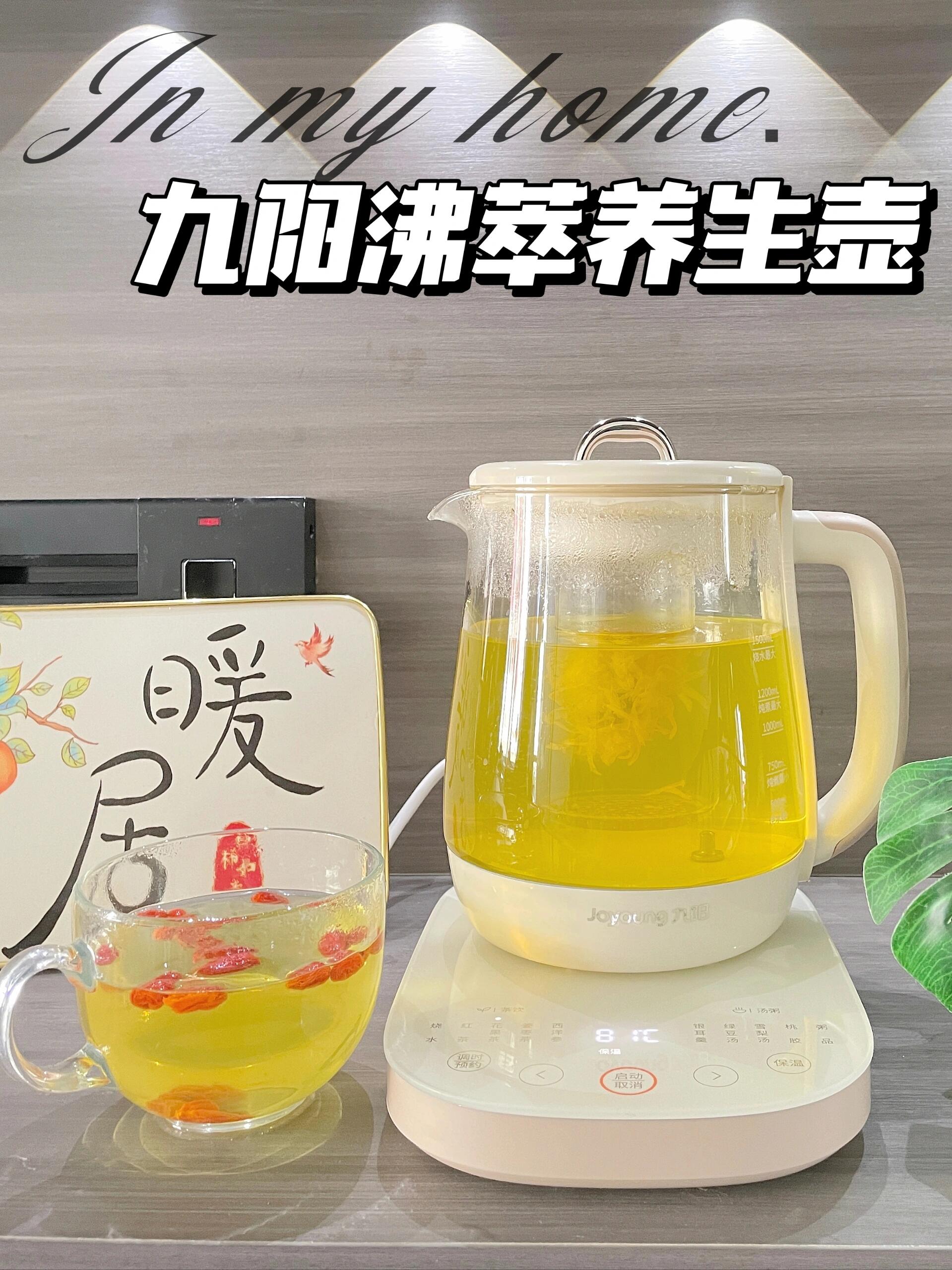 养生壶：从“传统炖煮”到“智能养生”，厨房里的健康革命！_拥有“如意行”驾乘险，出行更顺畅！,人保财险 