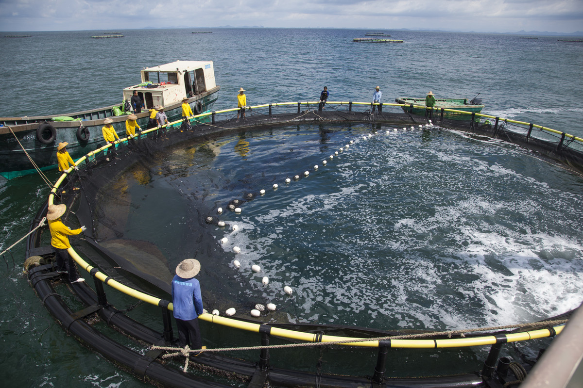 人保服务,拥有“如意行”驾乘险，出行更顺畅！_2025年深海养殖行业现状与发展趋势分析