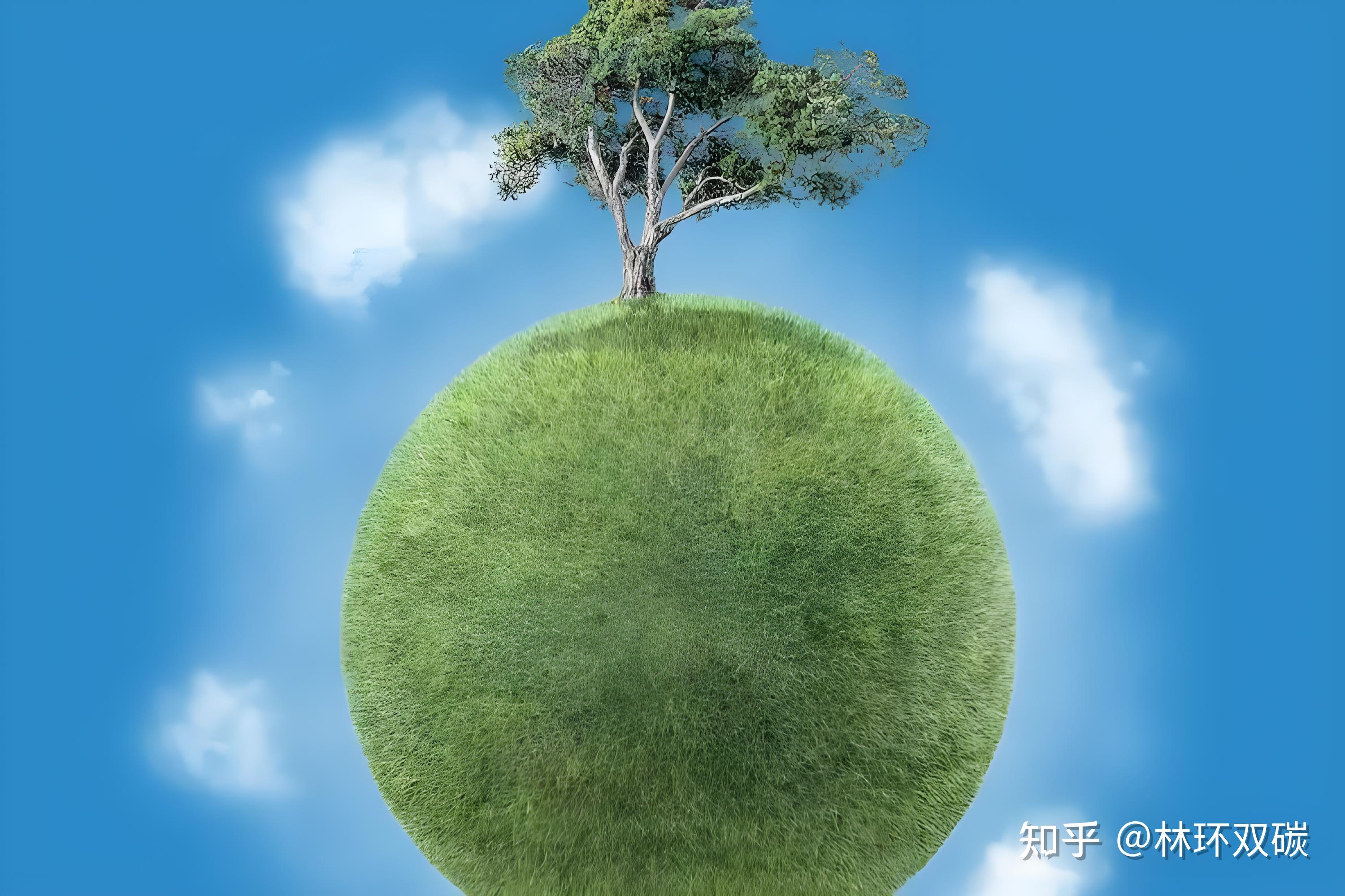 人保车险,人保护你周全_2025中国绿色金融行业：为何“碳金融”也能成为“财富自由”的新途径？