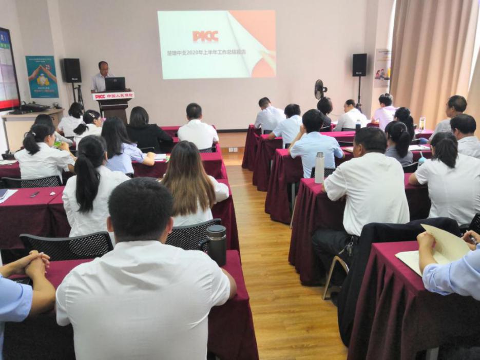 2024年椰子行业发展现状、竞争格局及未来发展趋势与前景分析_保险有温度,人保财险政银保 