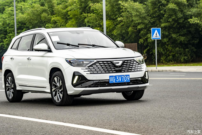 2025年桑葚行业现状与发展趋势分析_人保车险   品牌优势——快速了解燃油汽车车险,人保伴您前行