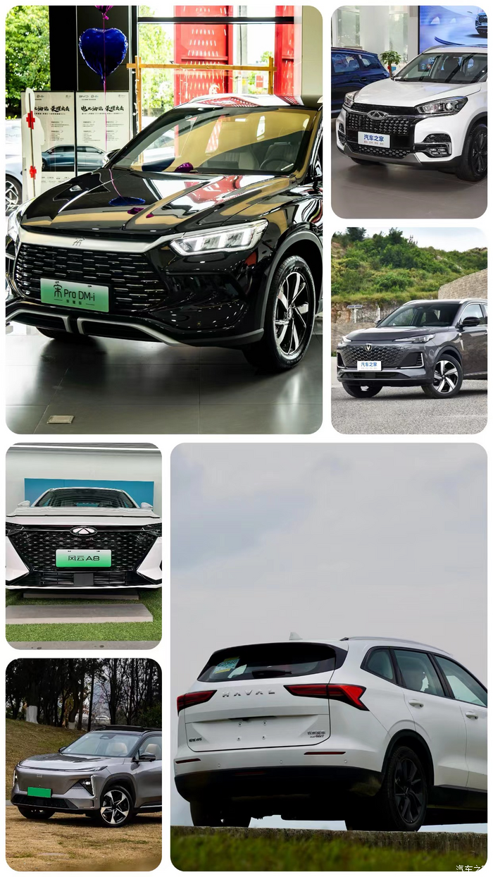 2025年桑葚行业现状与发展趋势分析_人保车险   品牌优势——快速了解燃油汽车车险,人保伴您前行