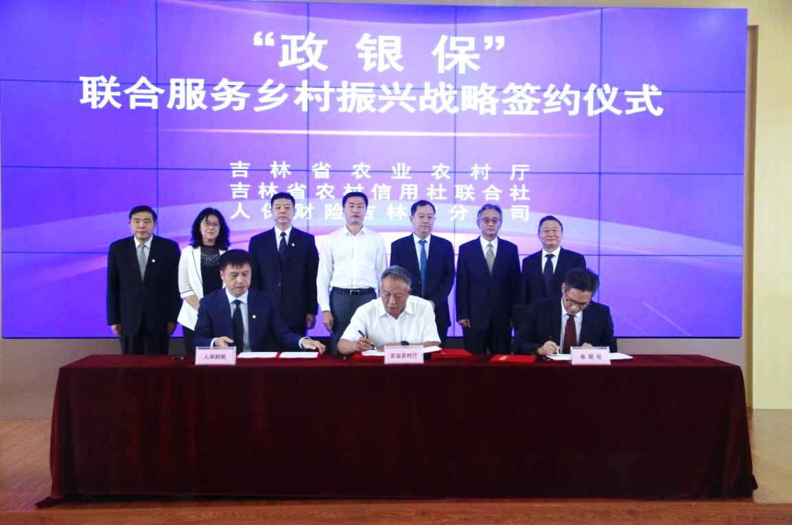 AI大模型商业化路径研究报告_人保财险政银保 ,人保有温度