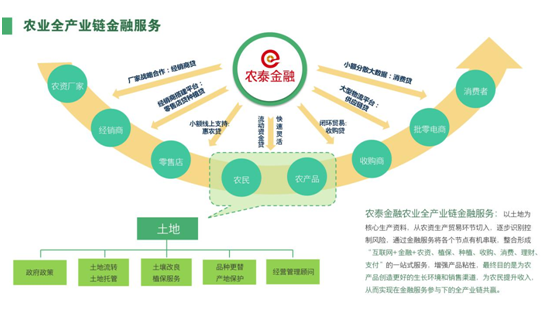 人保伴您前行,人保有温度_2025年中国马铃薯产业现状与发展趋势深度分析：从传统种植到全产业链价值重构的跨越式发展