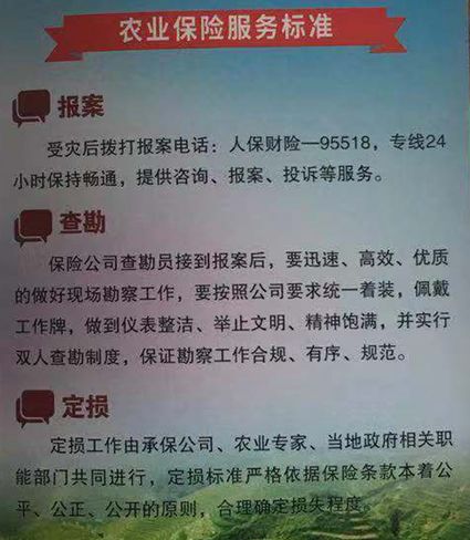 保险有温度,人保财险 _2025年生猪深加工行业现状与发展趋势分析
