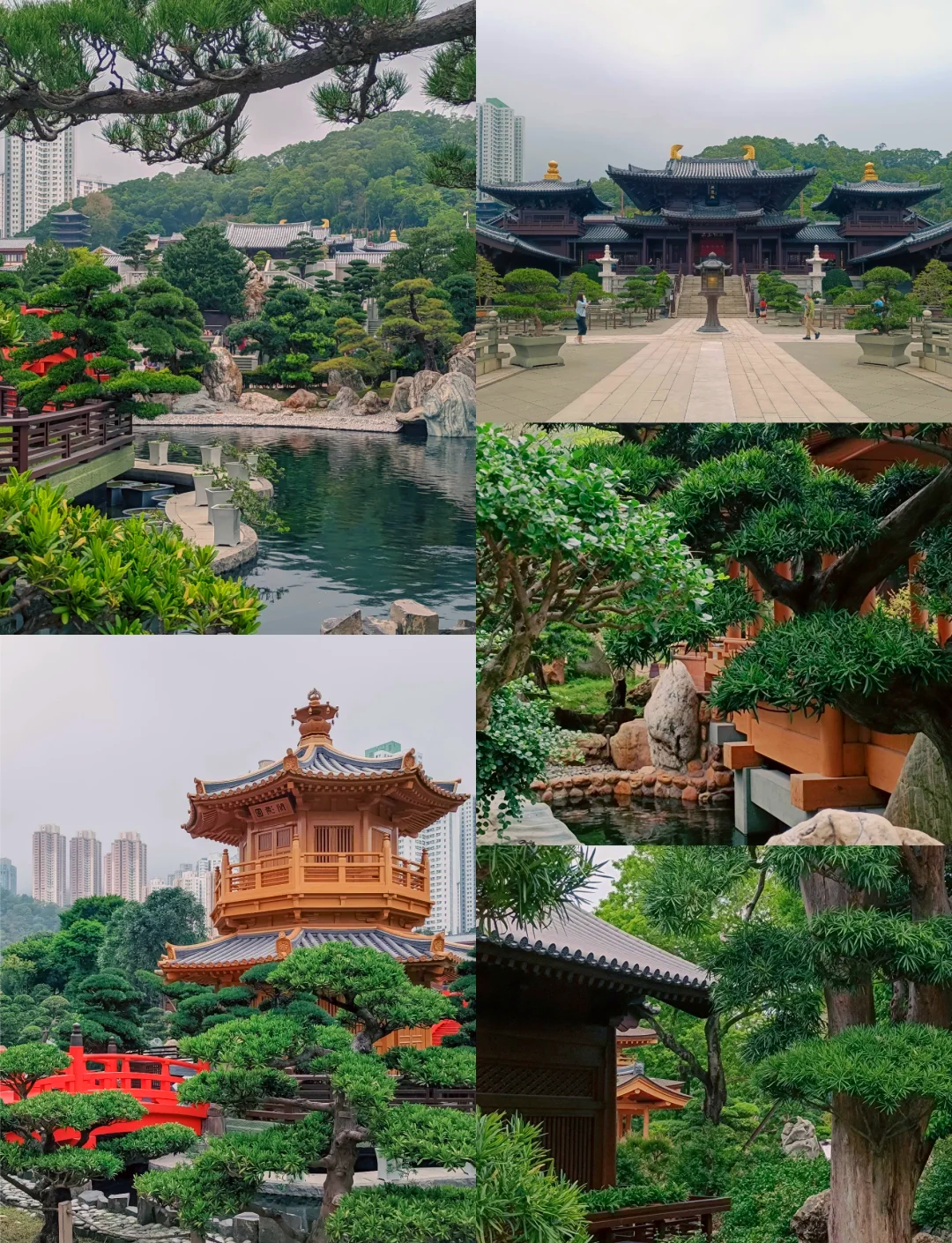 3月将有17艘大型邮轮停泊香港