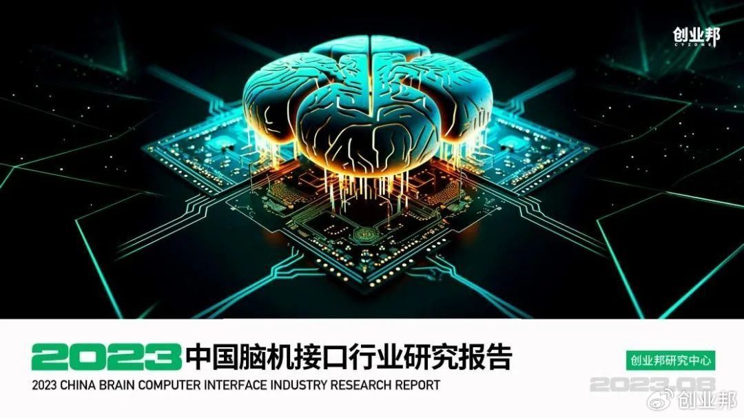 2025年中国脑机接口商业化路径与投行资本图谱_保险有温度,人保服务