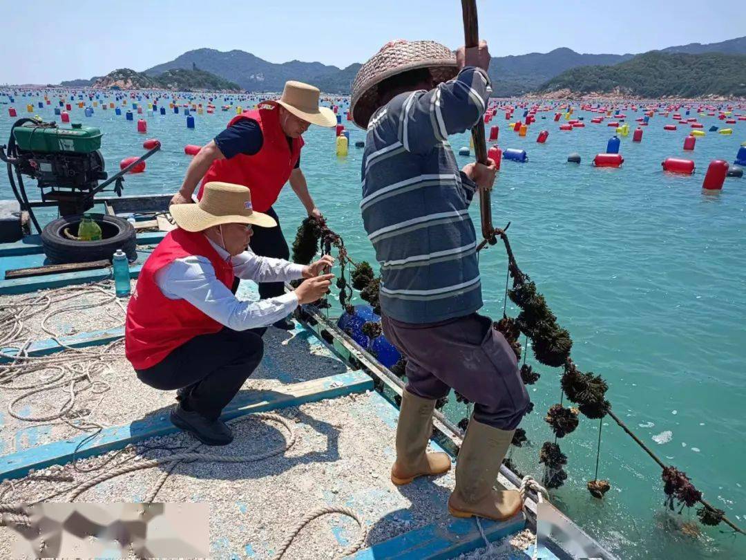 市场规模持续扩大，一文揭示蛋白饲料行业深度调研_人保伴您前行,人保有温度