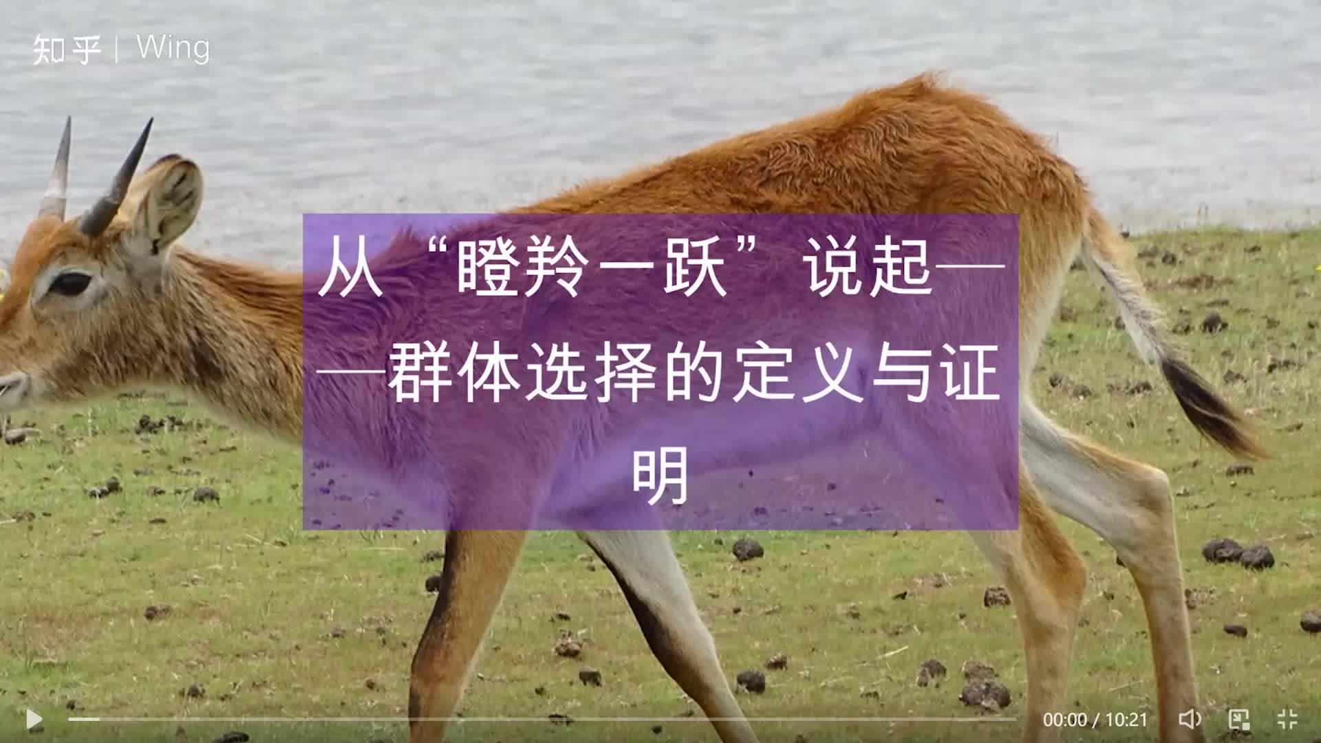 【瞪羚进化论】一辆车的所有消费，如何通过ETC完成？