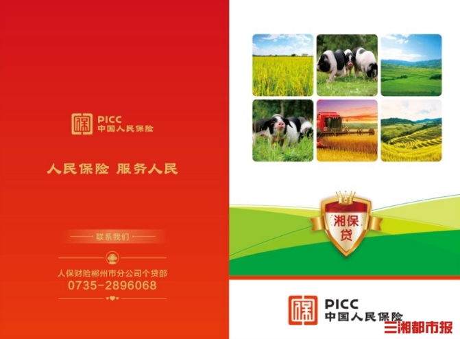 人保服务 ,人保服务_2025年产业金融行业市场调研：供给优化、需求分化、技术驱动