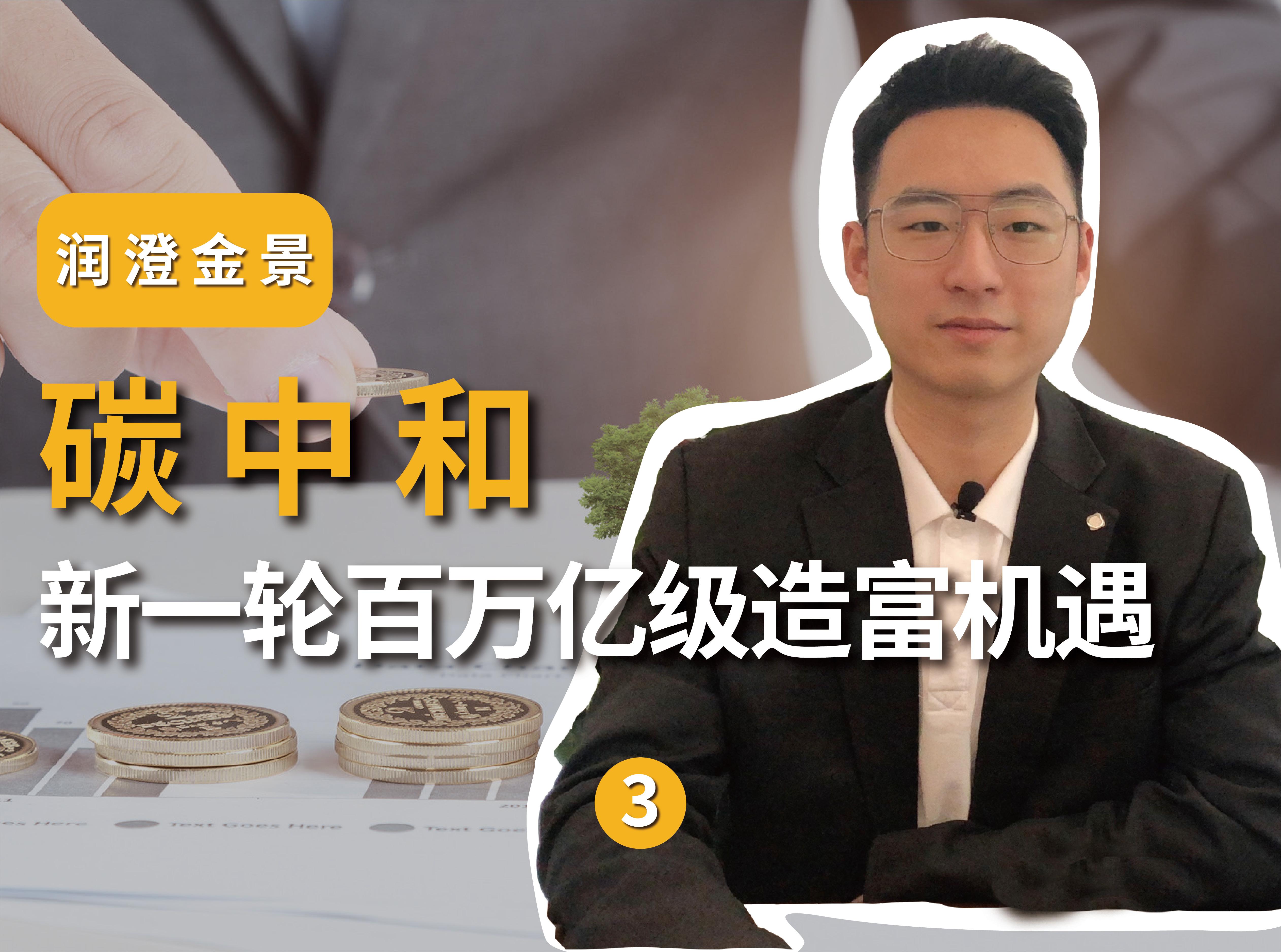 2025生物质能源行业竞争预测与投资突围战，千亿赛道如何抢占碳中和红利?_人保服务 ,人保财险政银保 