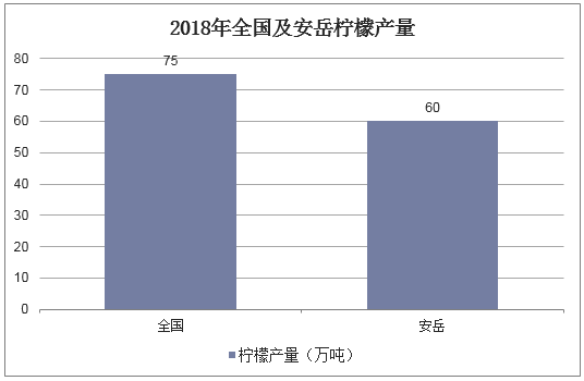 保险有温度,人保财险政银保 _2025中国单身旅游行业发展现状分析及未来前景预测