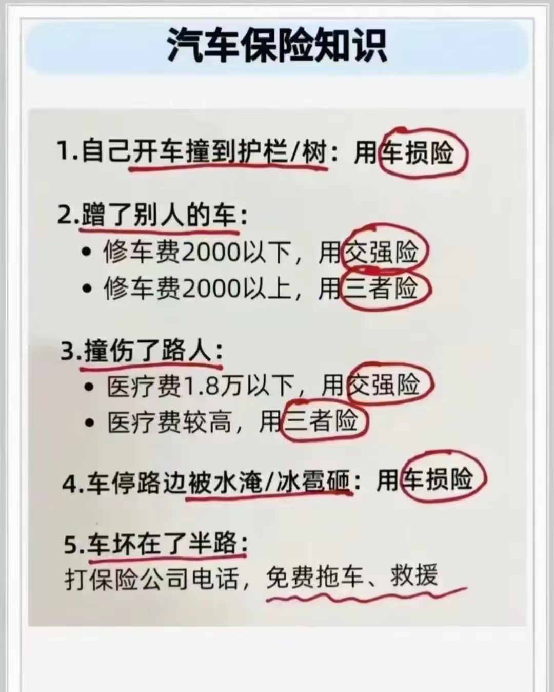 人保车险   品牌优势——快速了解燃油汽车车险,人保财险 _2025年中国不干胶标签纸行业现状与发展趋势分析
