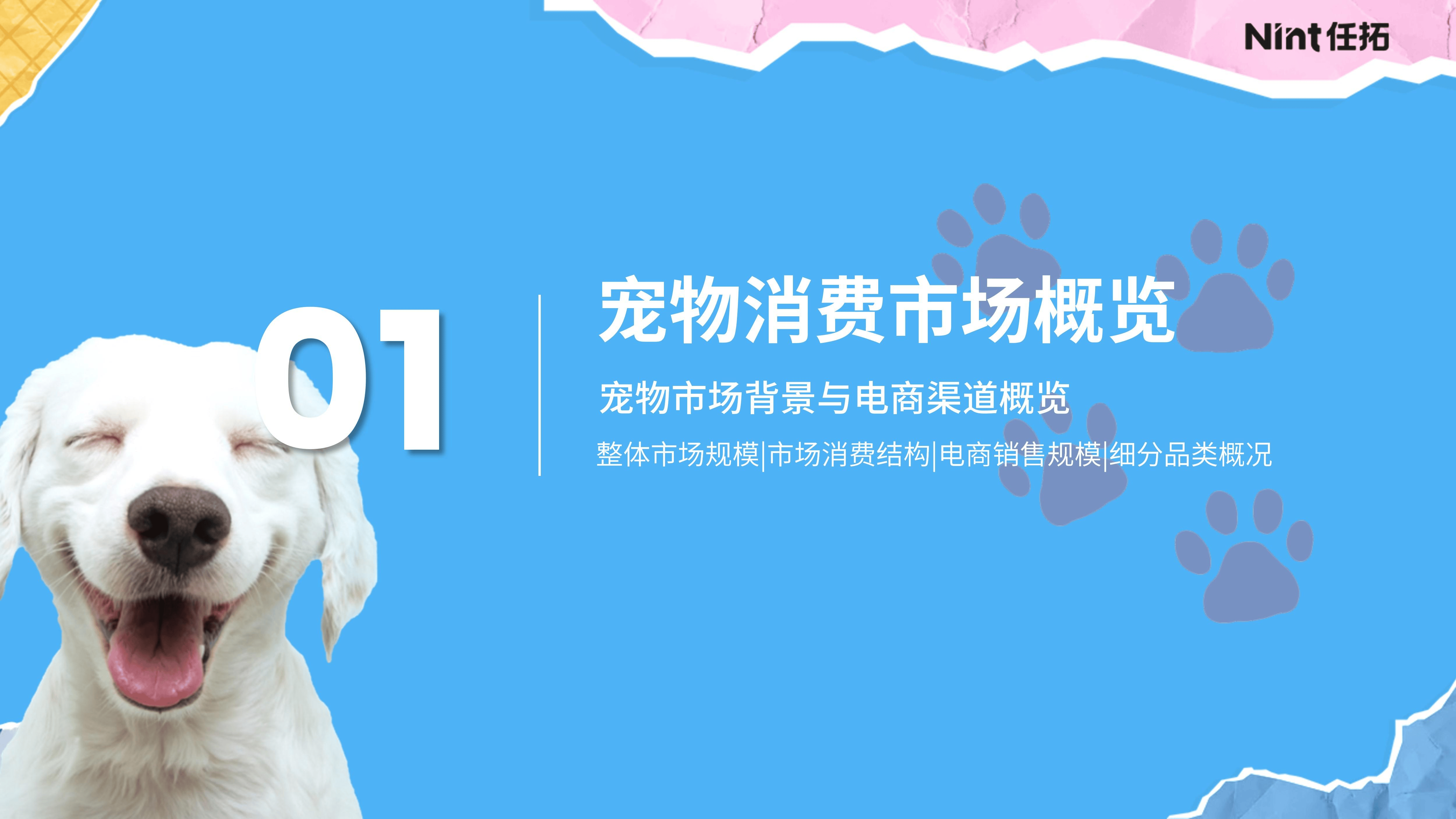 2025中国电商零售行业市场形势及投资风险分析_保险有温度,人保财险政银保 