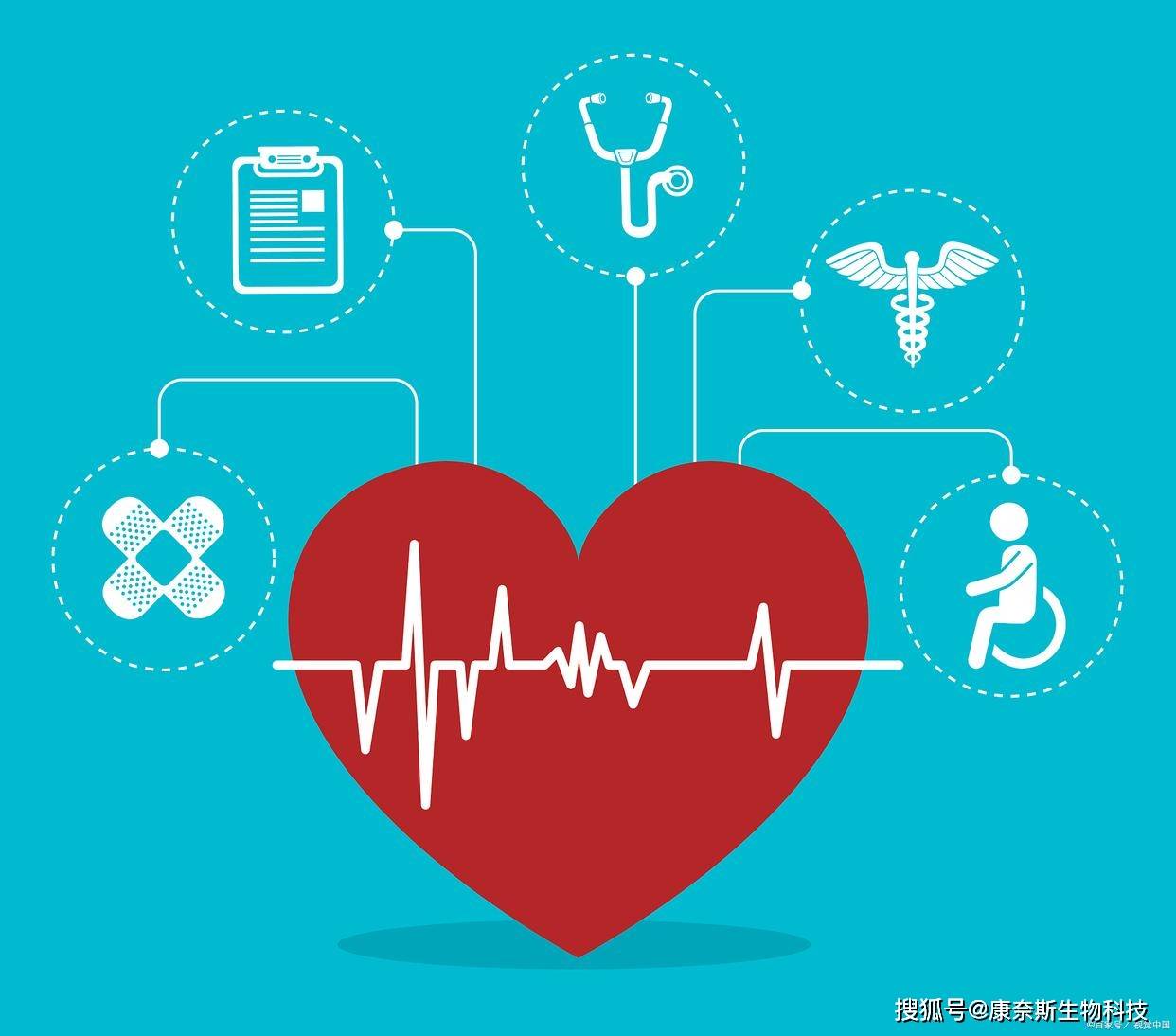 2025大健康行业竞争格局及未来发展趋势、前景分析_人保服务,人保护你周全