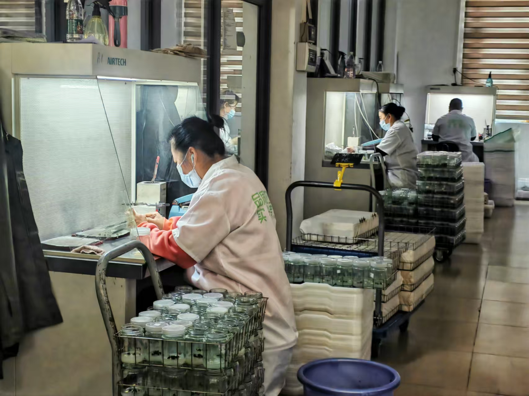 2025蓝莓行业市场竞争格局与投资价值、未来前景分析_人保车险   品牌优势——快速了解燃油汽车车险,拥有“如意行”驾乘险，出行更顺畅！