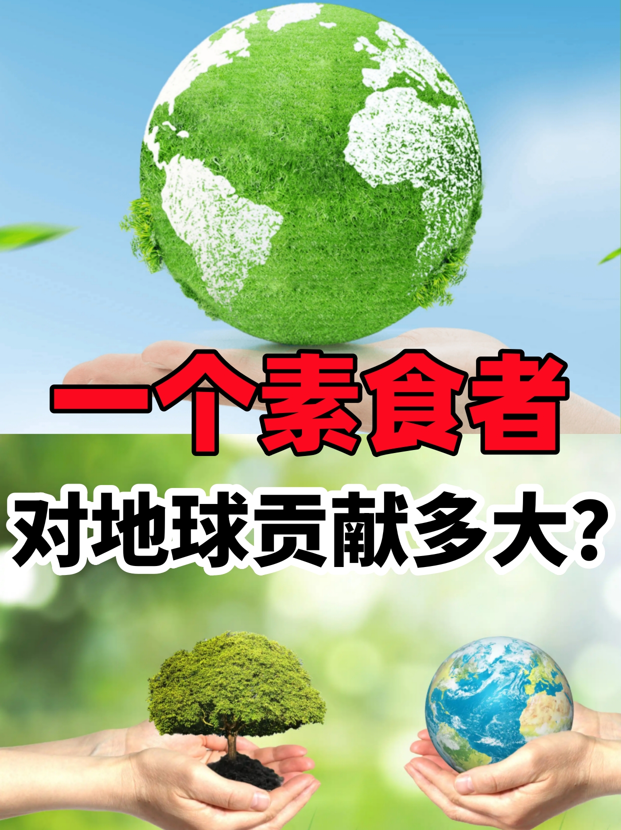 保险有温度,人保护你周全_中国纳豆行业：传统发酵食品的现代化突围与未来图景