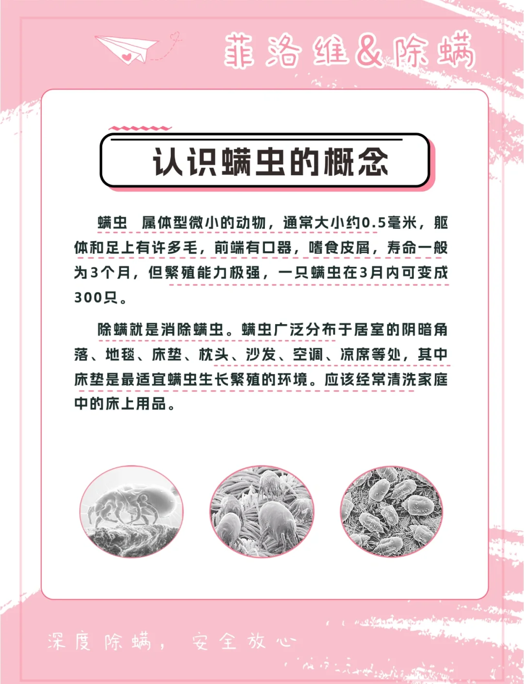 中国防螨寝具：2025健康消费驱动下的千亿级市场崛起_人保服务 ,人保服务
