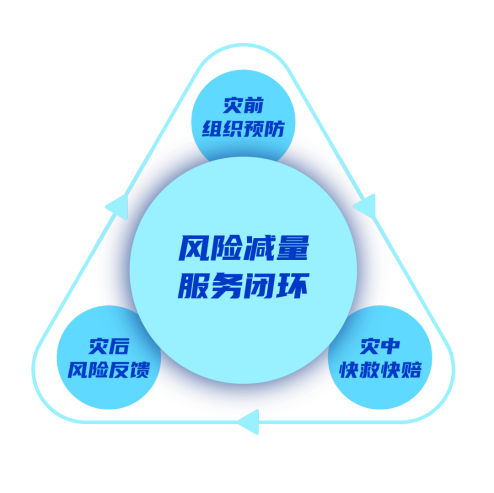人保服务 ,保险有温度_2025年中国遥感数据服务行业发展现状分析与未来展望