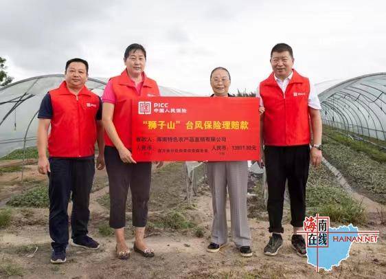 人保伴您前行,人保财险 _2025年曲棍球行业现状与发展趋势分析