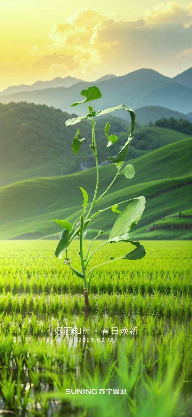 人保服务 ,人保有温度_2025年绿色发电行业市场深度分析及投资战略