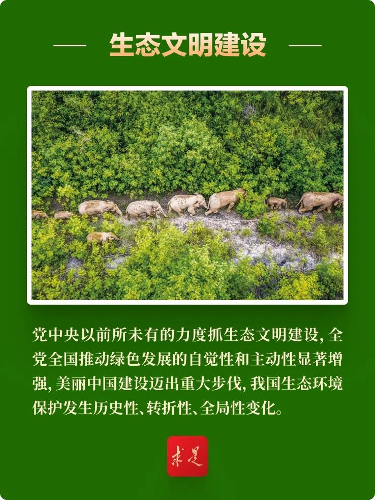 人保服务 ,人保有温度_2025年绿色发电行业市场深度分析及投资战略