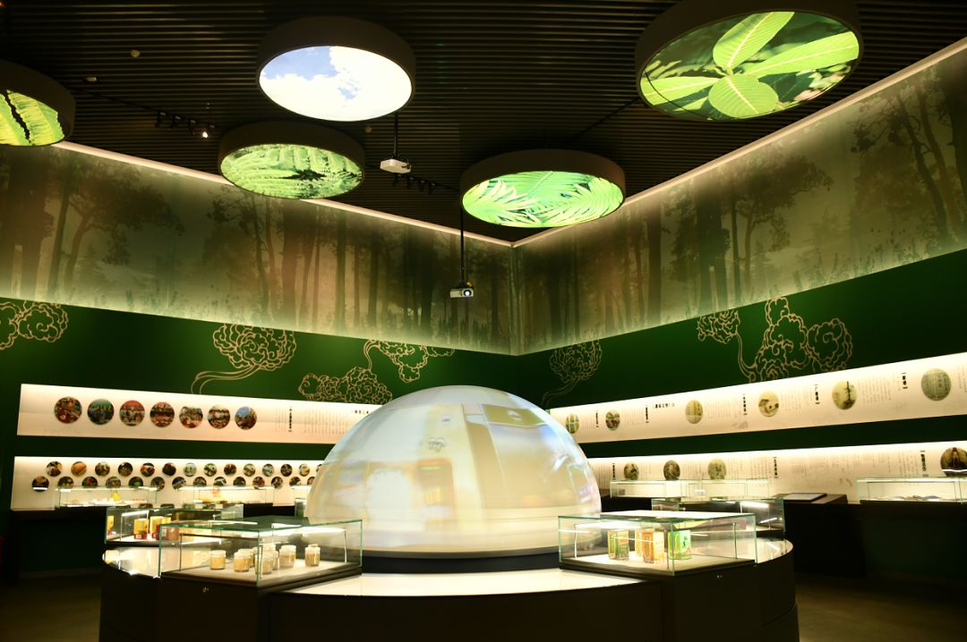 2025年人造地板行业发展趋势预测：技术驱动、绿色主导、区域重构_人保伴您前行,人保车险