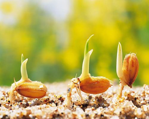 2025年人造地板行业发展趋势预测：技术驱动、绿色主导、区域重构_人保伴您前行,人保车险